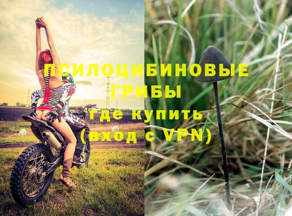 мескалин Кодинск