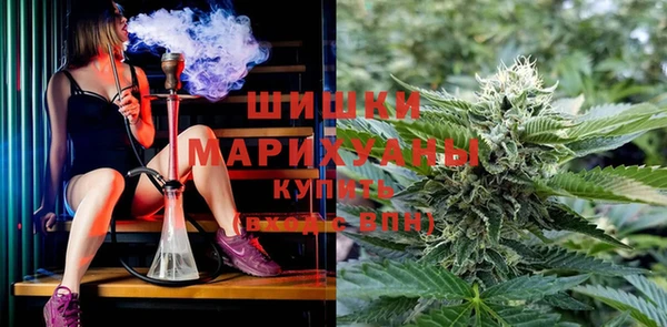 спиды Козельск