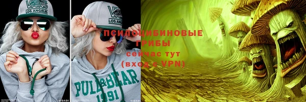 молекула духа Киренск