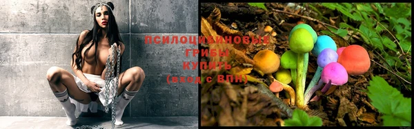 молекула духа Киренск