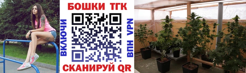 Бошки Шишки ГИДРОПОН  где можно купить   Малгобек 